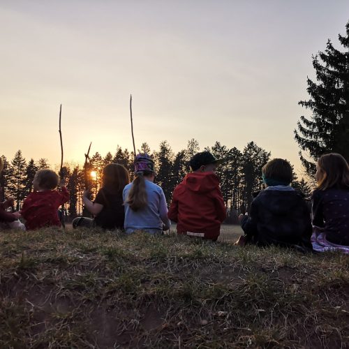 Biber_im_Sonnenuntergang