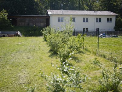 Heim und Laube vom Lagerplatz aus gesehen