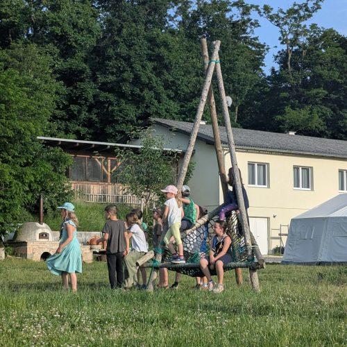 PXL_20250604_164559281.MP